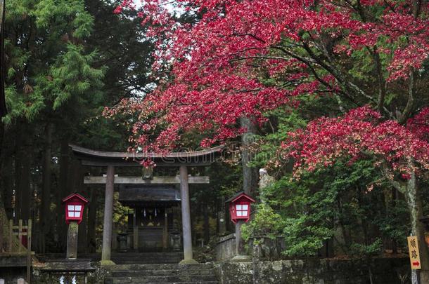 神道教徒庙在下吉田,藤田