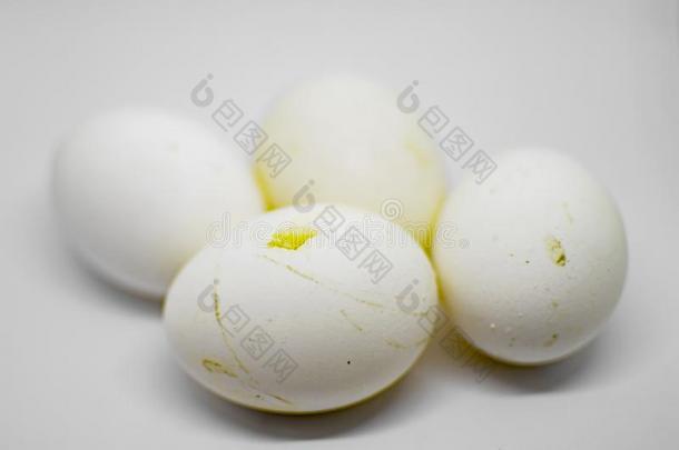 num.四新鲜的卵和壳