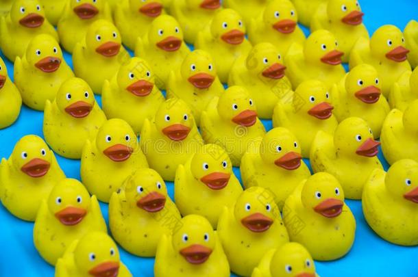 许多极好的玩具小的黄色的橡胶鸭子沐浴玩具