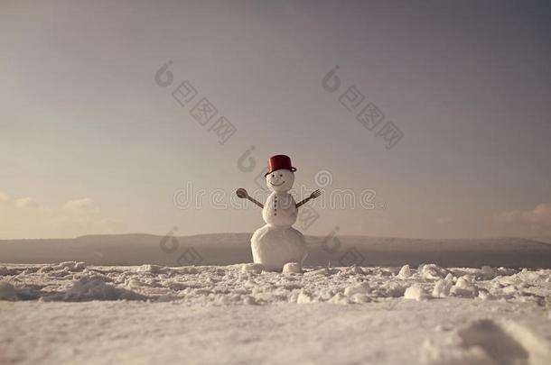 欢乐的雪人.新的年雪人厨师从雪和罐.