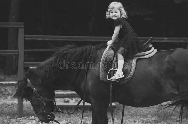 马骑马训练.小孩坐采用骑手马鞍向动物背