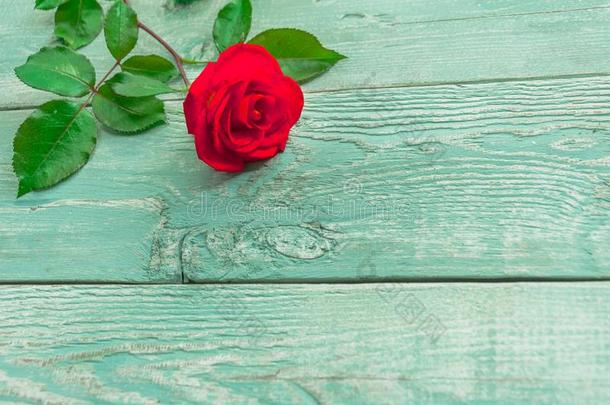 木制的背景和红色的玫瑰