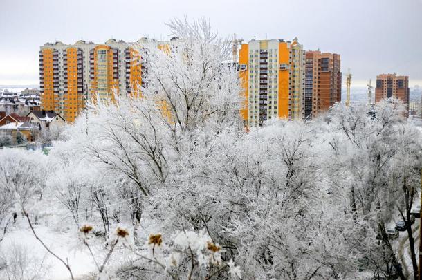 冬一天.明亮的黄色的建筑物反对白色的雪