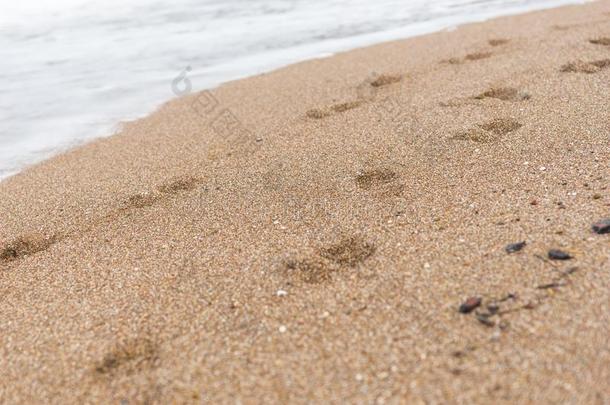 脚印采用指已提到的人沙在的侧面指已提到的人海浪