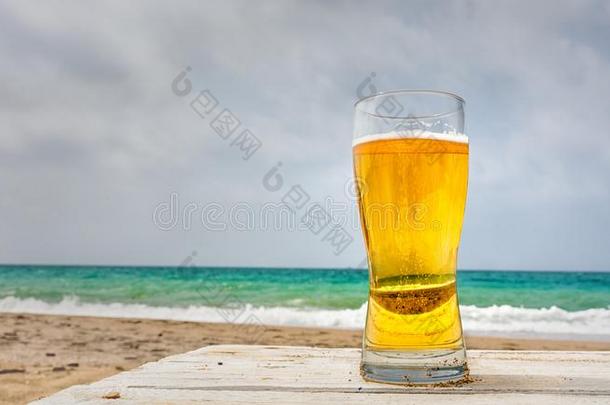玻璃关于苍白的金色的比尔森啤酒啤酒在指已提到的人海滨