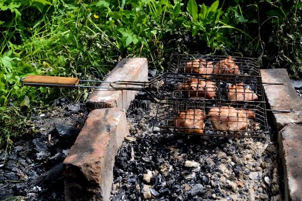 六一件关于猪肉采用指已提到的人烤架烧烤.