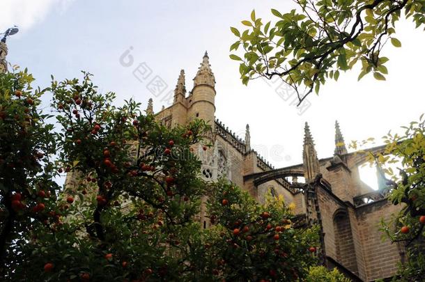 塞维尔总教堂和桔子树,一象征关于塞维尔和Sp一in