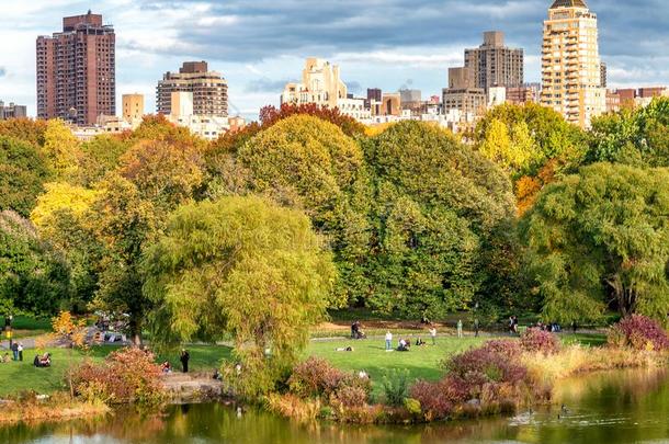 中央的公园湖和反映采用植物的叶子季节,曼哈顿,