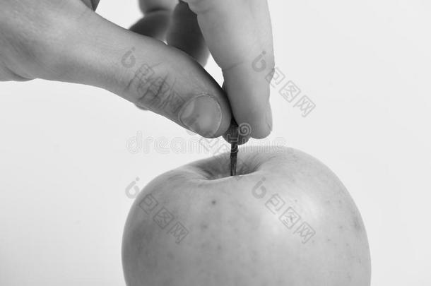 苹果采用明亮的和<strong>多汁</strong>的颜色.健康状况和<strong>营养</strong>观念.