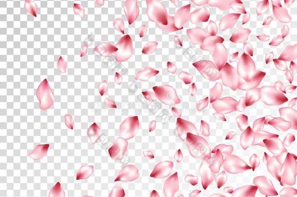 粉红色的樱花花瓣飞行的矢量流行的背景.