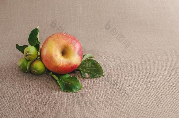 num.一大的红色的苹果和num.三未成熟的绿色的苹果s向指已提到的人麻袋