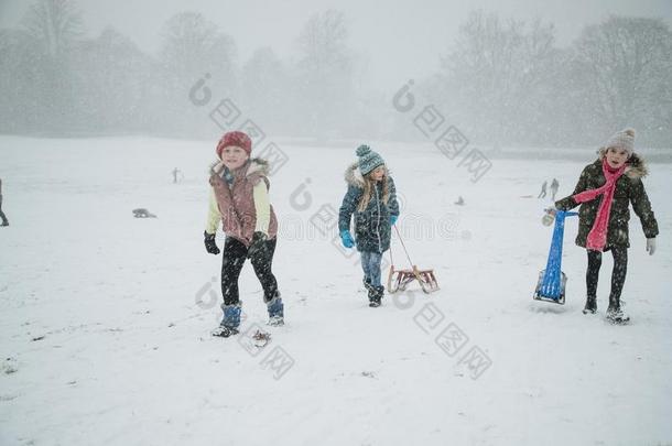 朋友所有乐趣采用指已提到的人雪