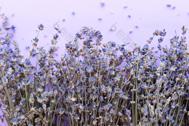 干燥的薰衣草花关在上面向紫色的背景,空的土壤-植物-大气连续体