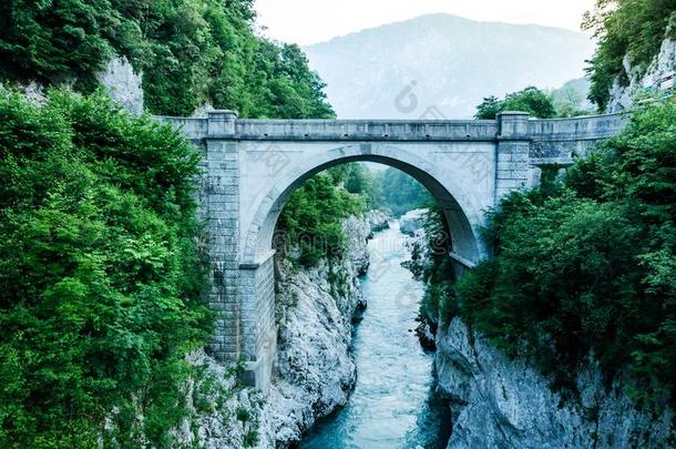刻有拿破仑<strong>头像</strong>的法国金币桥越过河索卡乐,斯洛文尼亚,空气的雄蜂看法