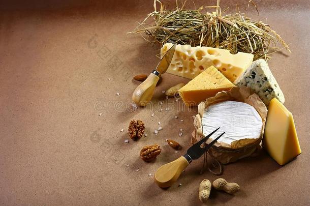 奶酪菜单尝味和法国Camembert村所产的软质乳酪,多布路含盐的蓝色奶酪和