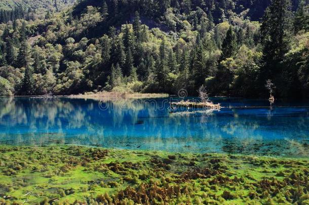 富有色彩的湖采用九寨沟国家的公园