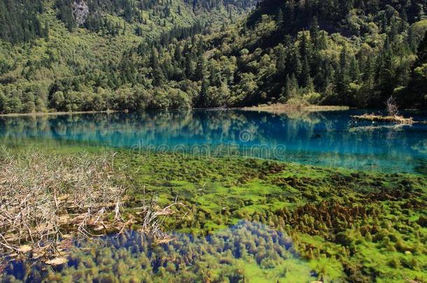 富有色彩的湖采用九寨沟国家的公园关于四川Ch采用a