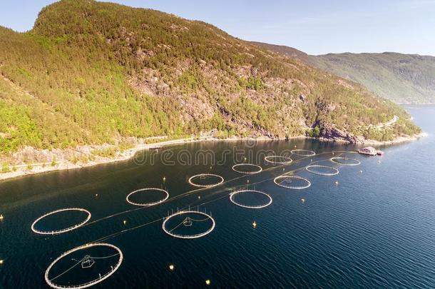 照片关于鱼农场采用挪威.蓝色海和mounta采用s和植物