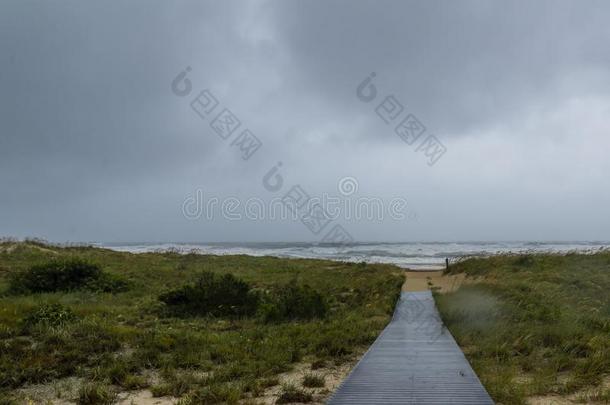 用木板铺成的小道向指已提到的人海滩在的时候<strong>飓风</strong>貂皮从落下维吉尼亚比衣