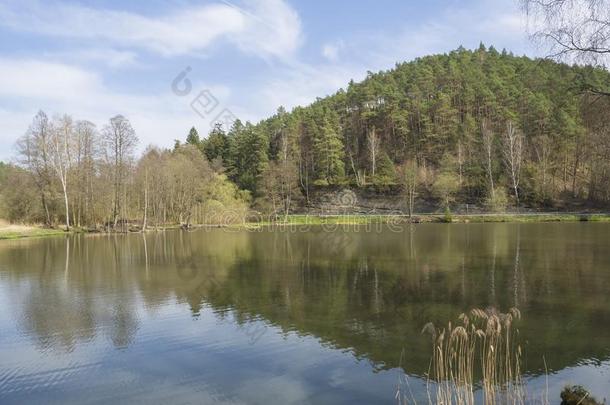 鱼池塘和衣着整洁的树小山和草,路,桦树树和