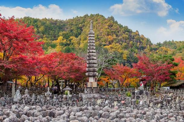 Adash采用onenbutsuji庙采用秋,京都采用黑色亮漆