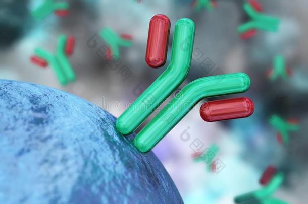 抗体,免疫球蛋白类,指已提到的人免疫的