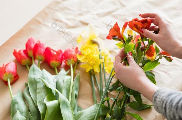 花商使工作花六出花属植物郁金香水仙