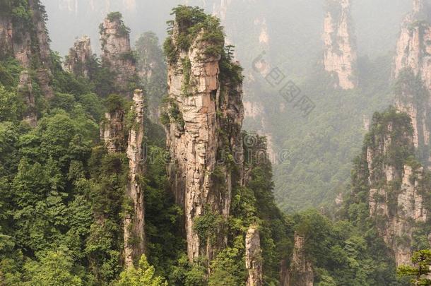 <strong>天子山</strong>纵队石灰岩地区常见的地形在七月风景优美的地区,张家