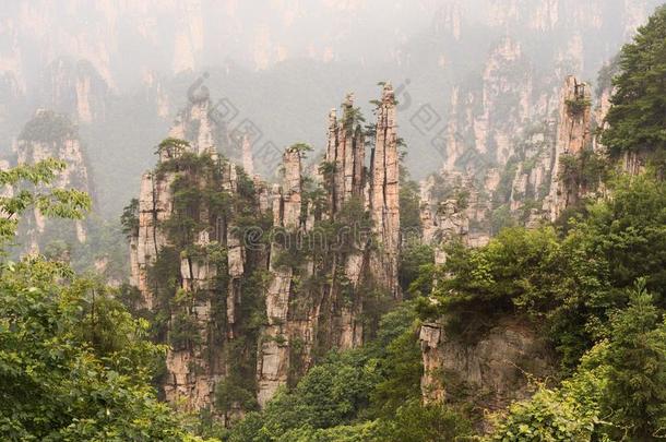 天子山纵队石灰岩地区常见的地形在七月<strong>风</strong>景优美的地区,张家