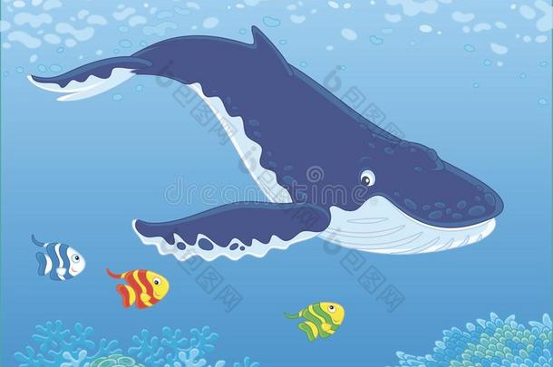 峰-有背的鲸跳水