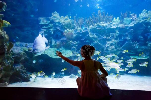 女人采用指已提到的人大型海洋水族馆在近处<strong>短</strong>吻<strong>鳄</strong>长<strong>嘴</strong>硬鳞鱼鱼