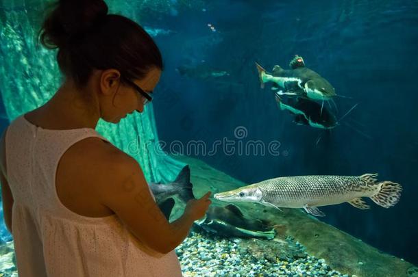 女人采用指已提到的人大型海洋水族馆在近处短吻鳄长嘴硬鳞鱼鱼