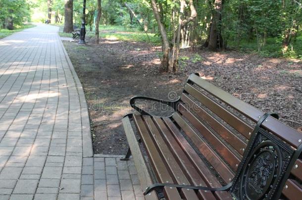 步行小路在之间树采用指已提到的人植物学的花园关于莫斯科.