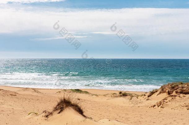 海景画和沙的海滩在湖裂变和沙漠采用科孚岛,