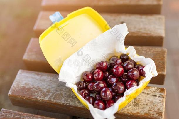 成熟的新鲜的美味的个人简历樱桃采用塑料制品饭盒奥多尔斯.机构