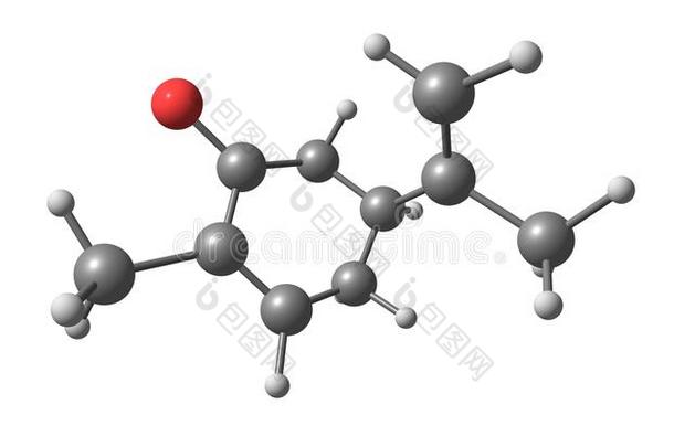 英文字母表的第19个字母-香芹酮分子的结构隔离的向白色的