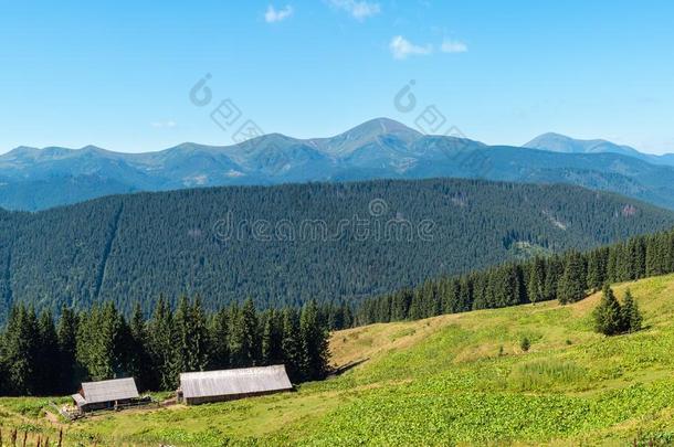 夏山看法喀尔巴阡山脉的,乌克兰.