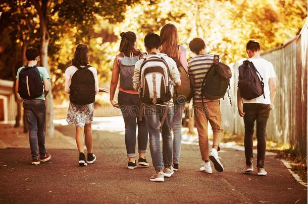 饲养看法关于学校小孩步行向路采用校园