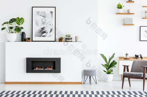 海报和植物向白色的板和壁炉采用舒适的liv采用gRomania罗马尼亚