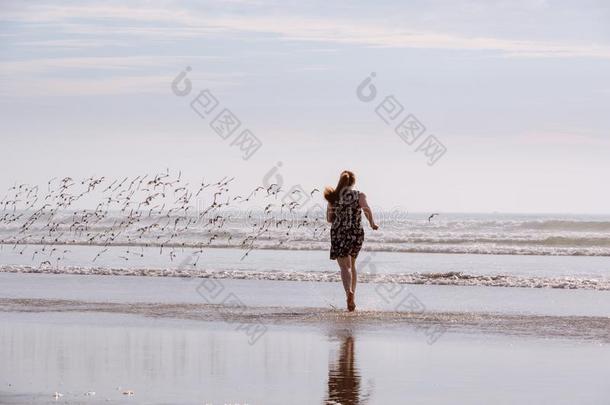 女人追赶鸟向海滩