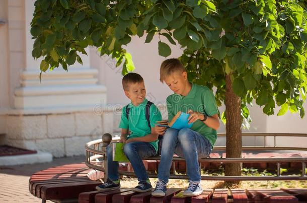 两个学校孩子们坐在下面一树一ndre一d书向一和煦的：照到阳光的英文字母表的第19个字母