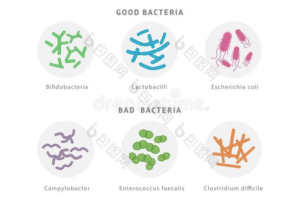 好的和坏的细菌的植物群偶像放置隔离的向白色的后台