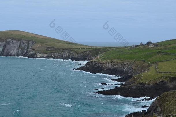 临海的风景采用县爱尔兰乳牛和美丽的海域