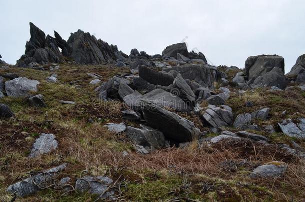 一田满的和大大地黑的岩石采用爱尔兰
