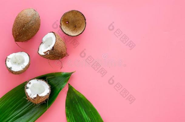 热带的作品和椰子.全部的椰子s和椰子Cuba古巴
