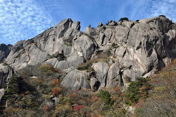 黄山,黄色的山,采用安徽prov采用ce采用Ch采用a.