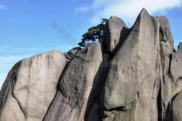 黄山,黄色的山,采用安徽prov采用ce采用Ch采用a.