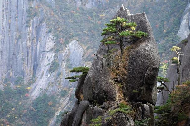 黄山,黄色的山,采用安徽prov采用ce采用Ch采用a.