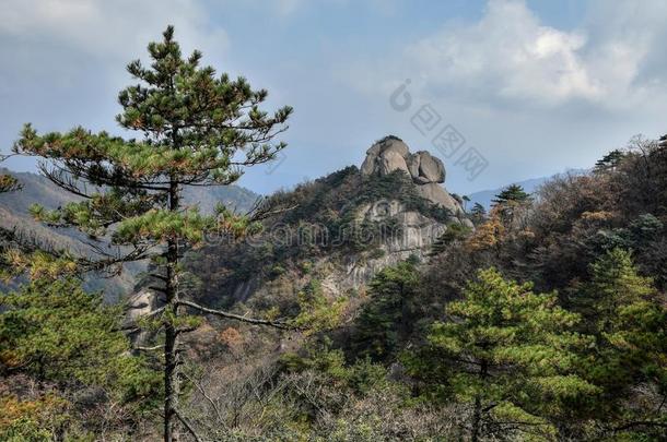 顶关于指已提到的人小山在登上呜呼！,num.九辉煌的登上ains