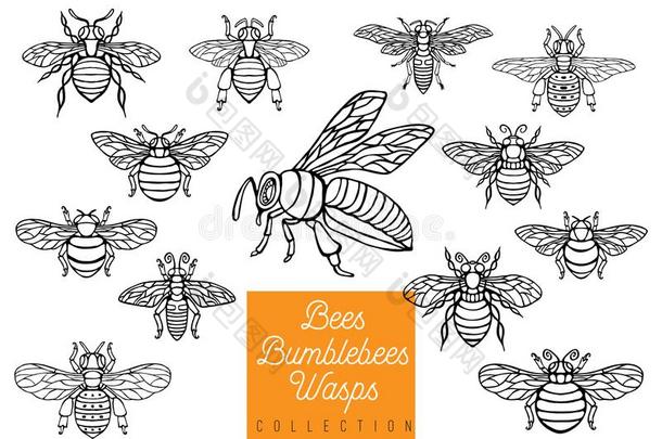 蜂蜜蜜蜂bumble蜜蜂s黄蜂放置草图方式收集插入winter冬天